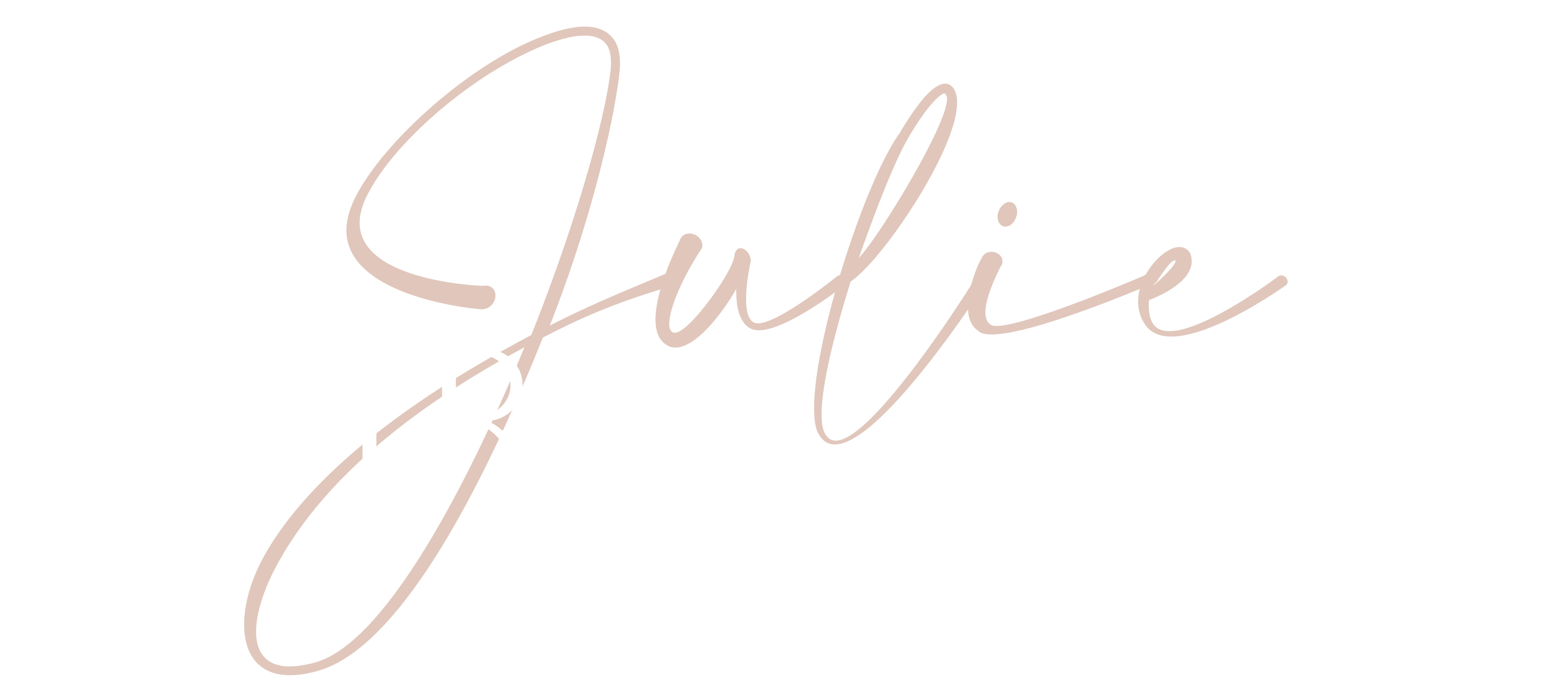 julie air logo